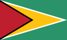 The flag of Guyana has a green field with two isosceles triangles which share a common base on the hoist end. The smaller black-edged red triangle spanning half the width of the field is superimposed on the larger white-edged yellow triangle which spans the full width of the field.